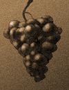 Grapes TC.png