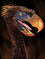 Terrorbird fullgrown.png