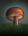 Mushroom.png