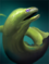 Eel.png