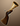 Blunderbuss.png